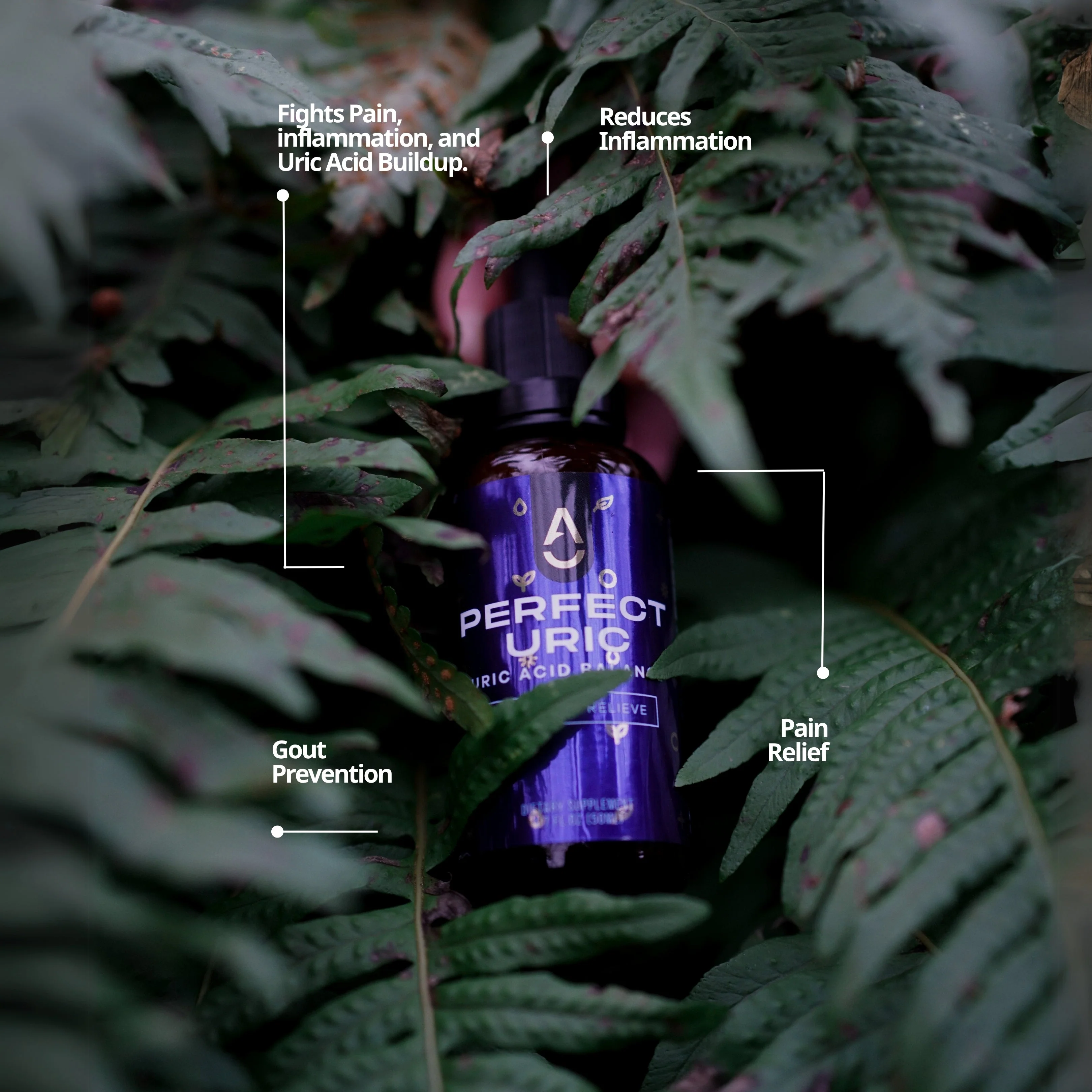 Perfect Uric — Uric Acid & Joint Health Support 🇺🇸 - Image 2