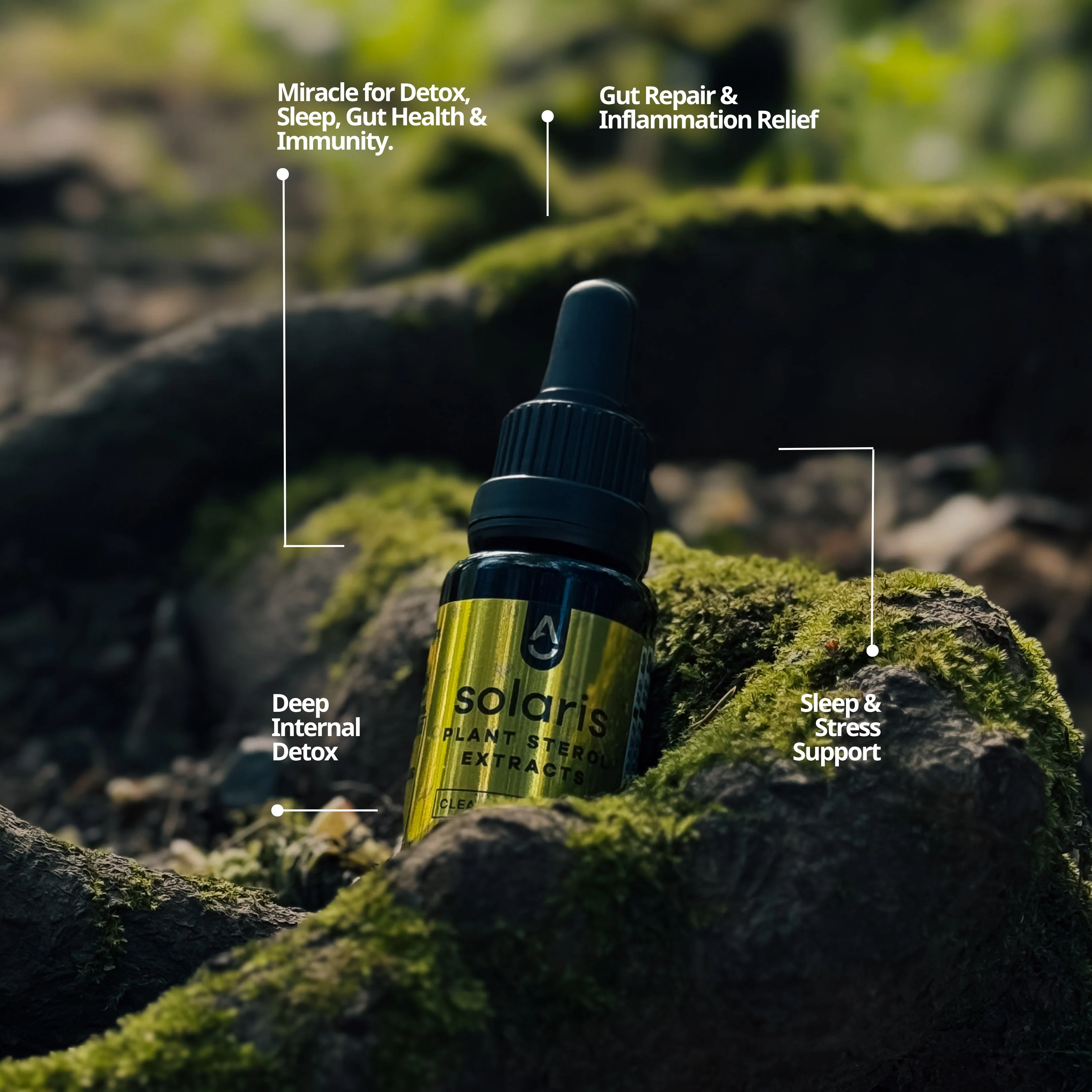 Solaris — Immune & Cellular Antioxidant Support 🇺🇸 - Image 3